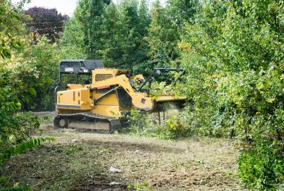Ground Clearing in Gwinnett County, GA