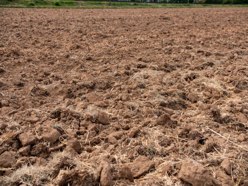 Land Grubbings in Progress