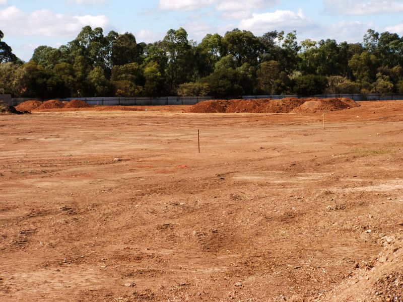 Post-Grubbing Land Condition